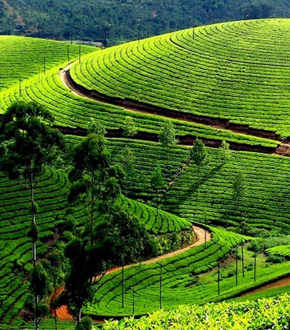 Kerala